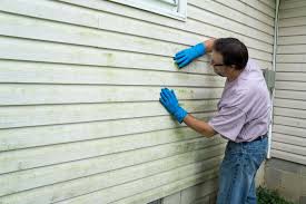 Affordable Siding Repair and Maintenance Services in Highland City, FL